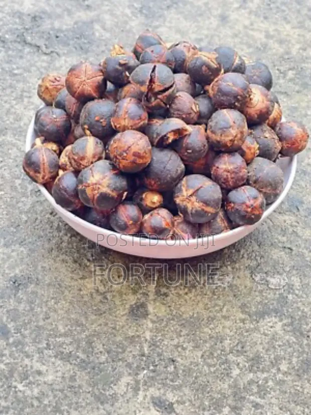 African Chewing Gum Fruit (Gorontula) 250g - 1