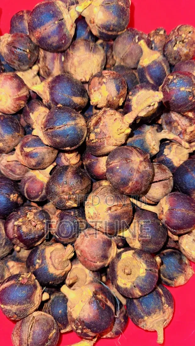 Gorontula / Snot Apple (250g) - 1