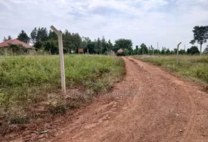 Prime Plots for Sale at Divine Estate, Gayaza Road