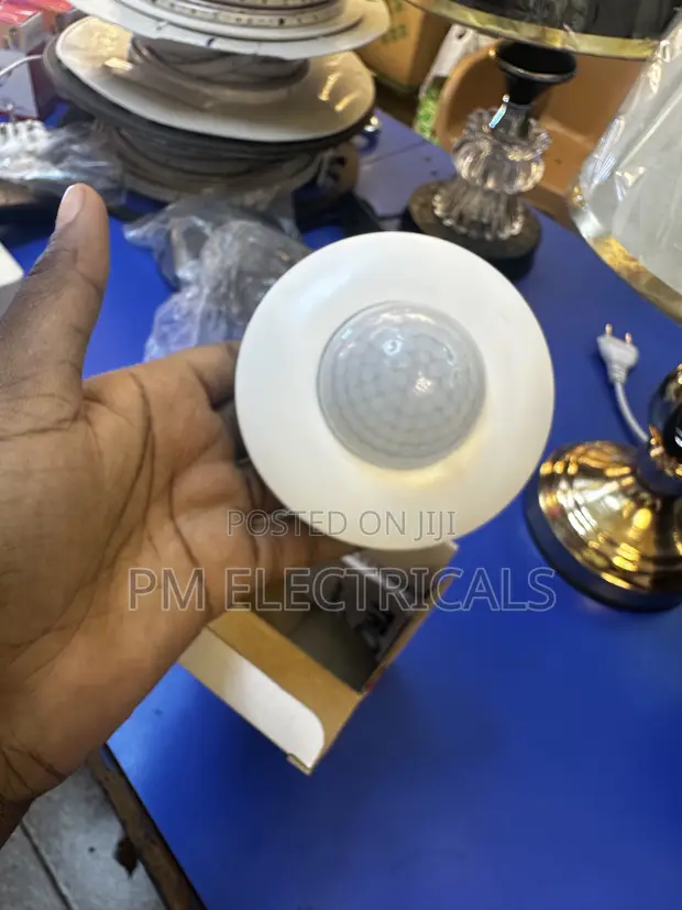 Motion Sensor Light Switch - 1