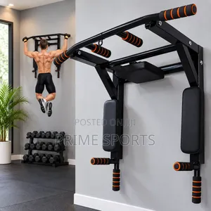 Brand New Doorway Pull Up Bar