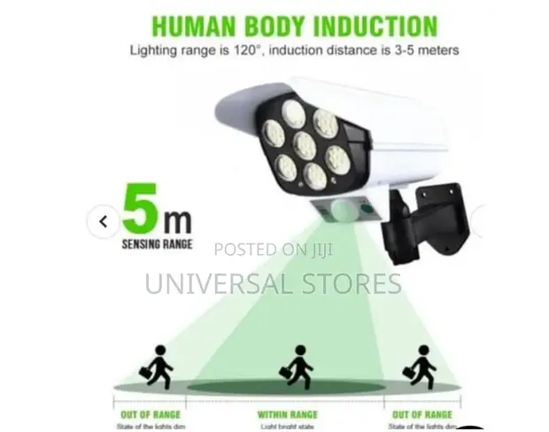 Solar Outdoor Security Light with Motion Sensor & Remote - 1