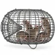 Reusable Wire Cage Mouse & Rat Trap - 1