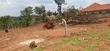 Land for Sale in Kira Town with Title - 4