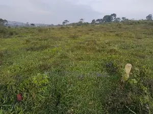 Land for Sale in Bukerere, Mukono