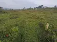 Land for Sale in Bukerere, Mukono - 1
