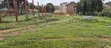 Land for Sale in Bukerere, Mukono - 2