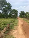 Plot for Sale - Wakiso Nampuuga - 2
