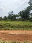 Plot for Sale - Wakiso Nampuuga - 4