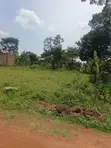Plot for Sale - Wakiso Nampuuga - 5