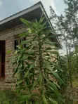 2 Bedroom House for Sale in Wakiso Mende - 2