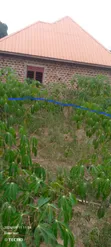 Plot for Sale in Kalagi, Mukono - 2