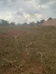 Mixed-use Land for Sale in Kitwe, Kayunga - 1
