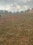 Mixed-use Land for Sale in Kitwe, Kayunga - 2