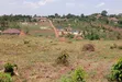 Prime Plots for Sale at Namusera~Kakunyu, Hoima Road - 2