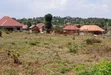 Prime Plots for Sale at Namusera~Kakunyu, Hoima Road - 3