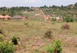 Prime Plots for Sale at Namusera~Kakunyu, Hoima Road - 4