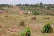 Prime Plots for Sale at Namusera~Kakunyu, Hoima Road - 5