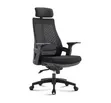 Ergonomic Breathable Back Office Chair - Brand New - 1