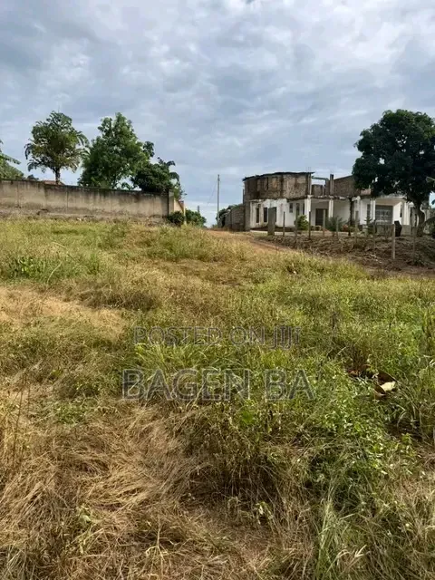 Lutembe Beach Land Deal - Titled Plots Available - 1