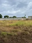 Lutembe Beach Land Deal - Titled Plots Available - 2