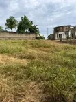 Lutembe Beach Land Deal - Titled Plots Available - 3