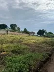 Lutembe Beach Land Deal - Titled Plots Available - 4