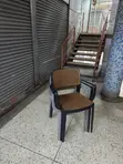 Lux Plastic Dining Chairs (Brand New) - 2
