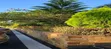 Compound Designing & Landscaping Services - 2