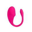 Remote Controlled Wearable Vibrator - 1