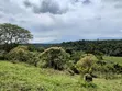 Land for Sale in Wakiso, Kakiri - 2
