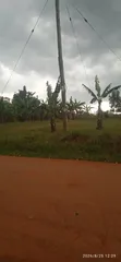 Land for Sale in Wakiso, Kakiri - 4
