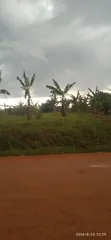 Land for Sale in Wakiso, Kakiri - 5
