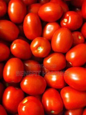 Fruit and Vegetable Basket