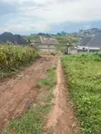 Land for Sale, 50x100, Wakiso Mende - 2