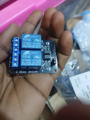 2 Channel 5V Relay Module with Optocoupler Isolation