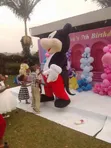 Giant Mascot Rentals for Events - 2