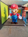 Giant Mascot Rentals for Events - 5