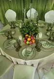 Table Linens - Surface Protection & Sustainability - 2