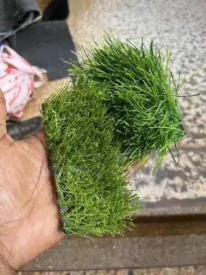 Artificial Turf Pitch Indoor Grass Carpet Per Square Meter