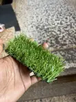 Artificial Turf Pitch Indoor Grass Carpet Per Square Meter - 2