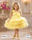 Lily Rose Girls' Net Party Dresses - 2