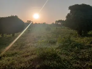 10 Acres Farmland for Sale in Wabinyonyi