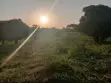 10 Acres Farmland for Sale in Wabinyonyi - 1