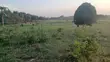 10 Acres Farmland for Sale in Wabinyonyi - 2