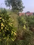 Commercial Land for Sale in Nakawuka, Buvi - 2