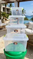4 Sizes Clear Plastic Storage Boxes Set - 1