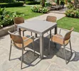Stylish Dining Plastic Table and Chairs - 1