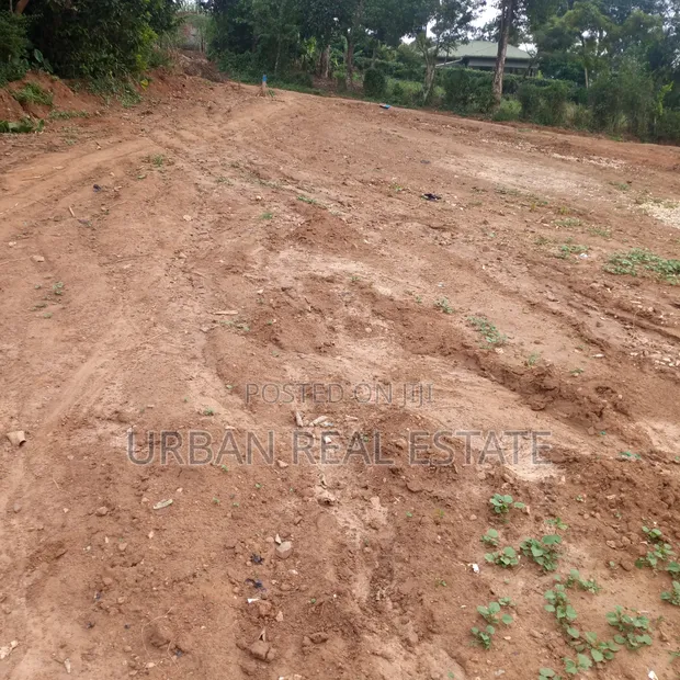 Kiteezi Land for Sale - 12 Decimals - 1