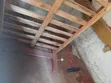 Strong Bed Frame - No Bed Bugs - 4
